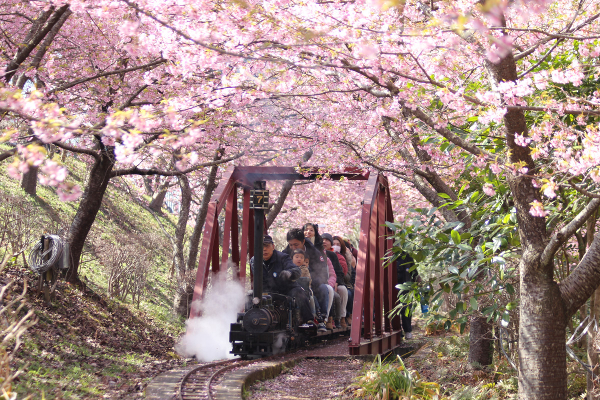 西平 畑 公園